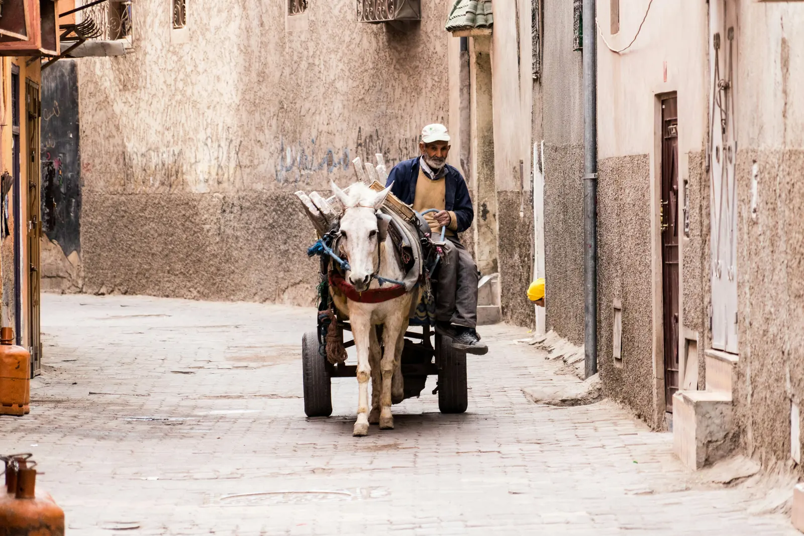 Traditional horse-drawn cart in a Marrakech street