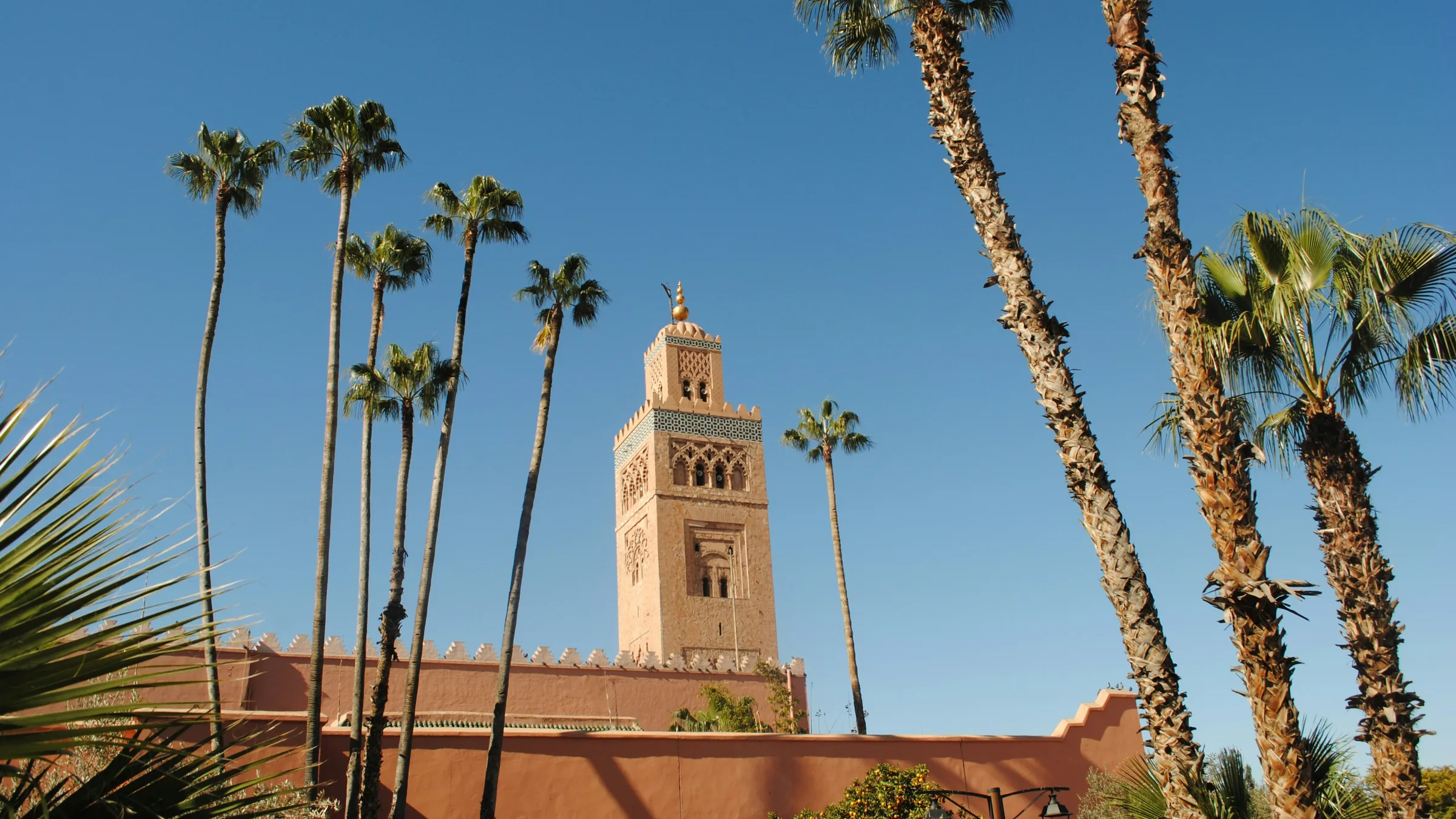 Minaret de la Koutoubia et palmiers à Marrakech