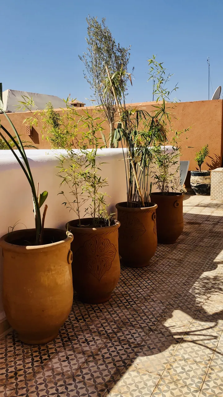 Best time to visit Marrakech