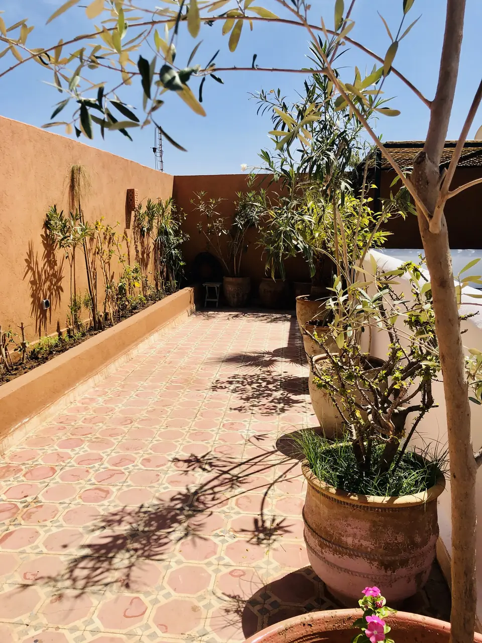 Dar Maureen terrace sunbeds
