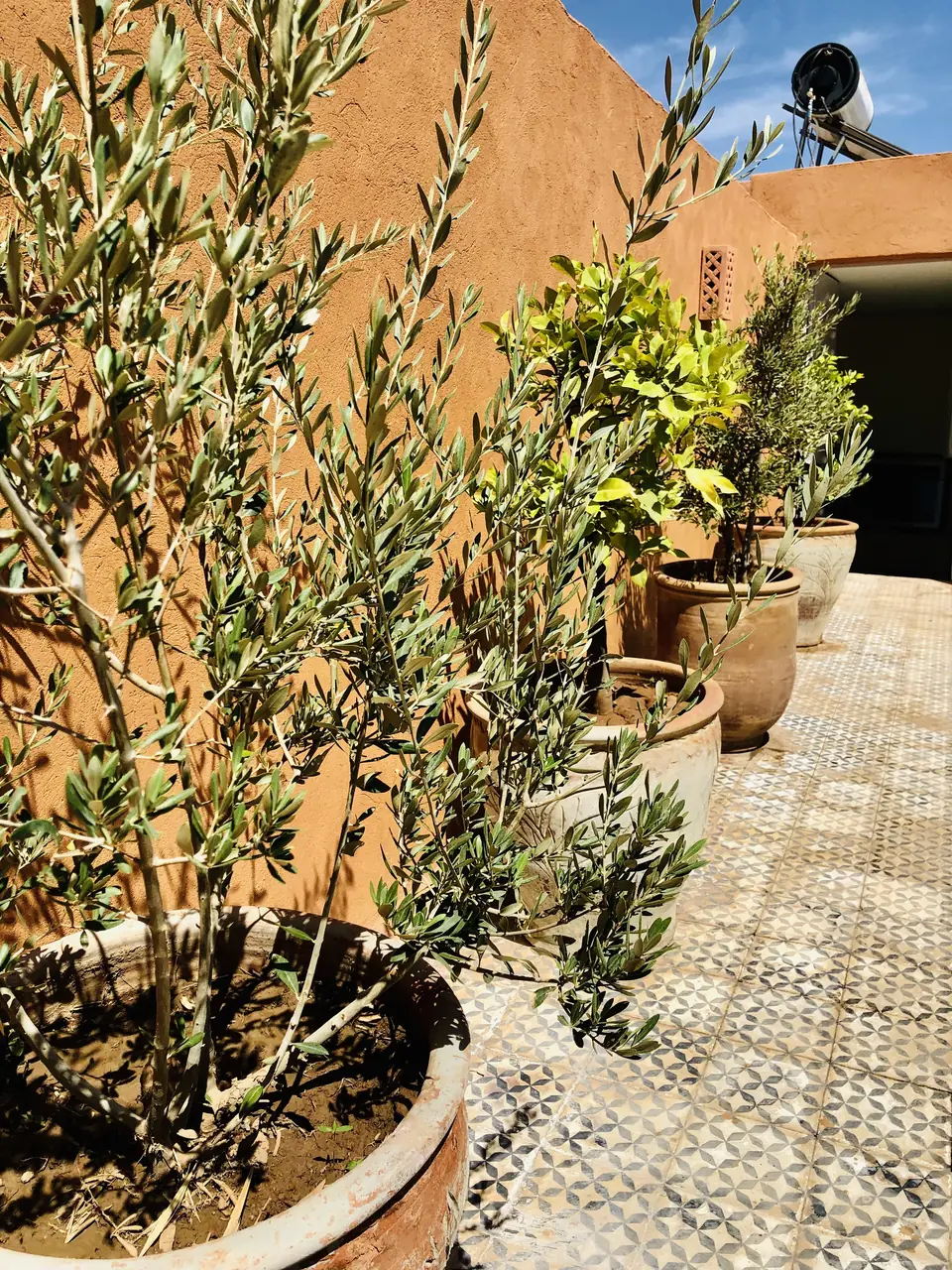 Riad in Marrakech medina