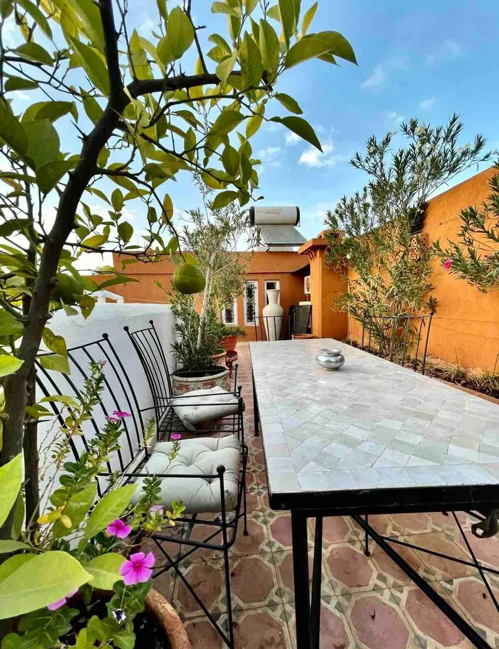 Dar Maureen rooftop terrace with terracotta walls and olive trees